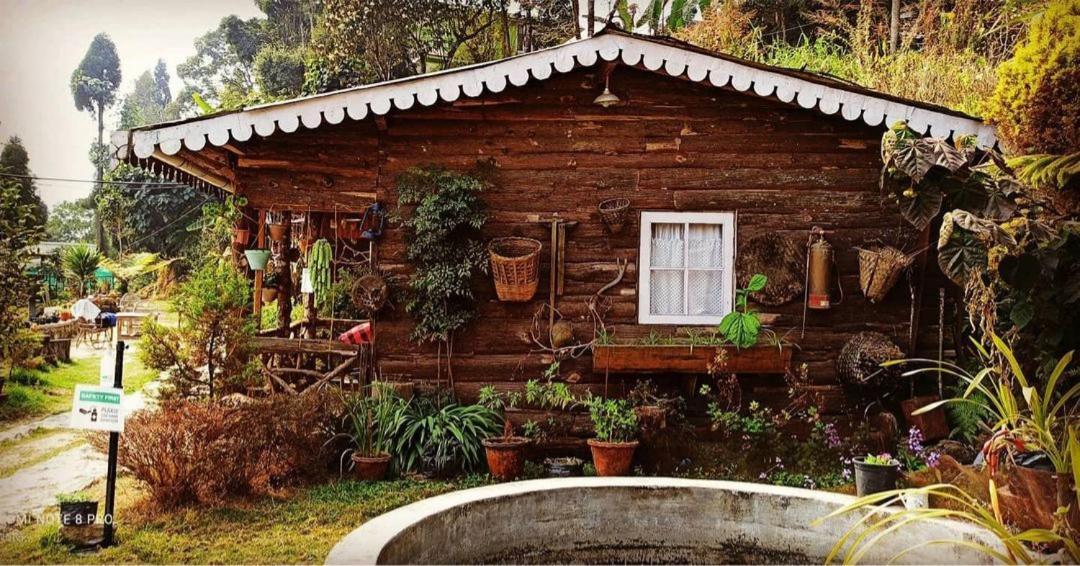 دارجيلنغ Suma Aavaas Farmstay المظهر الخارجي الصورة